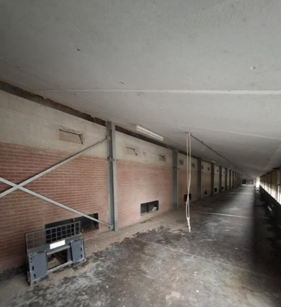 demontovana hala - 5