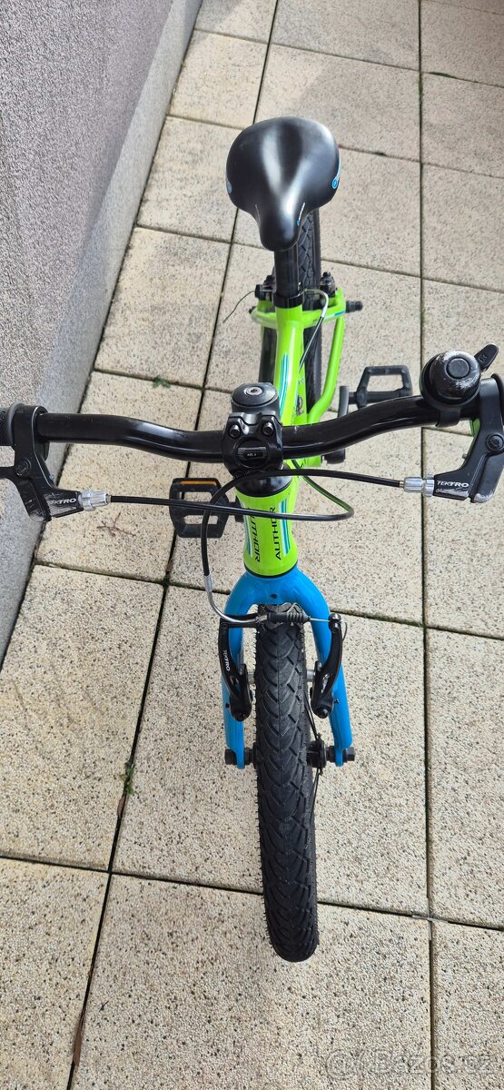 Author RECORD 16 - 5