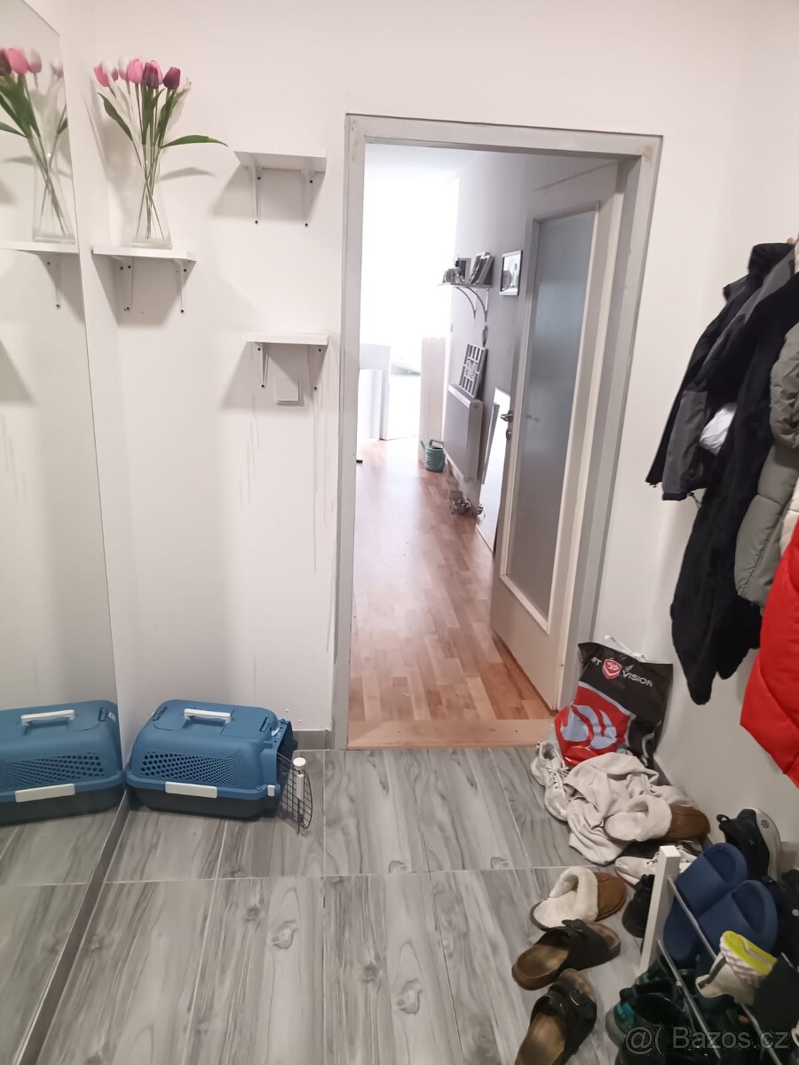 Pronajmu 2+1 v Aši - 5