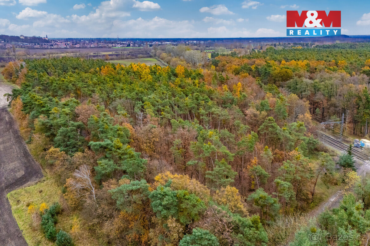 Prodej lesa, 6436 m², Lysá nad Labem - 5