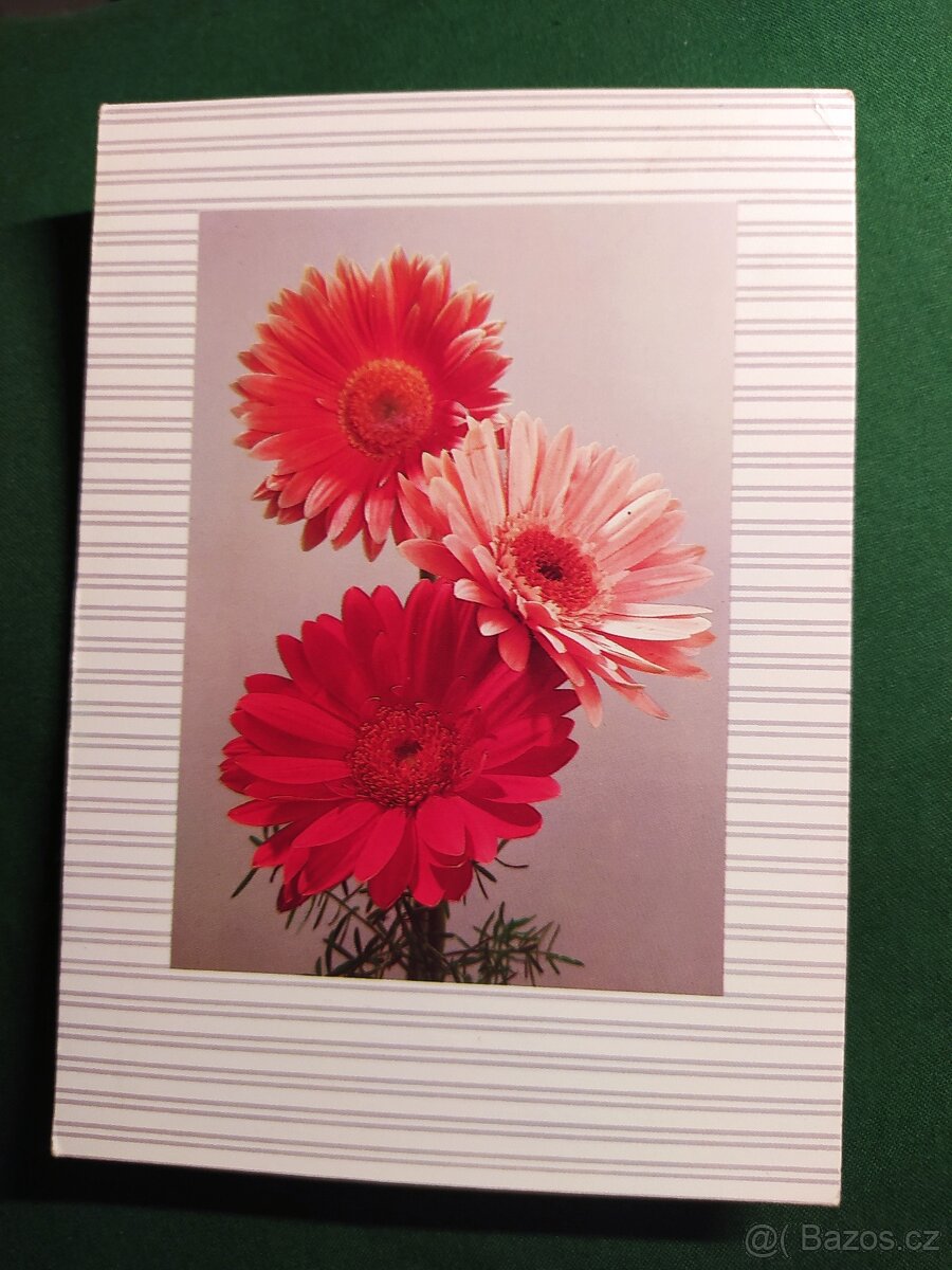 Pohlednice různé - 5