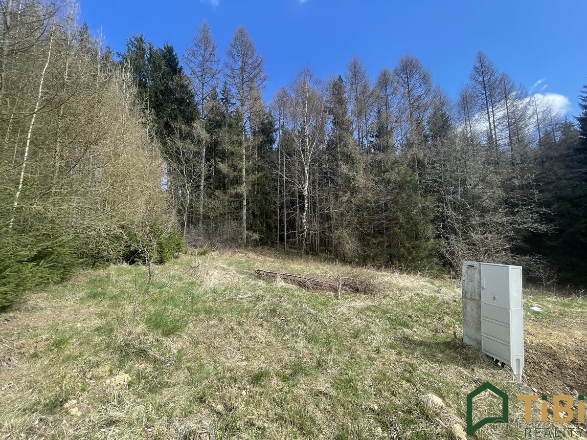 Prodej, Pozemky pro bydlení, 1.753 m² - Gruna - Žipotín - 5