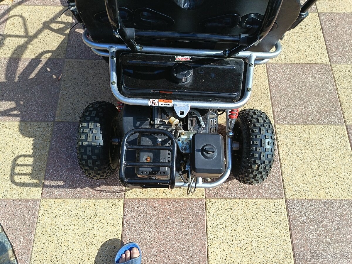 Buggy shark