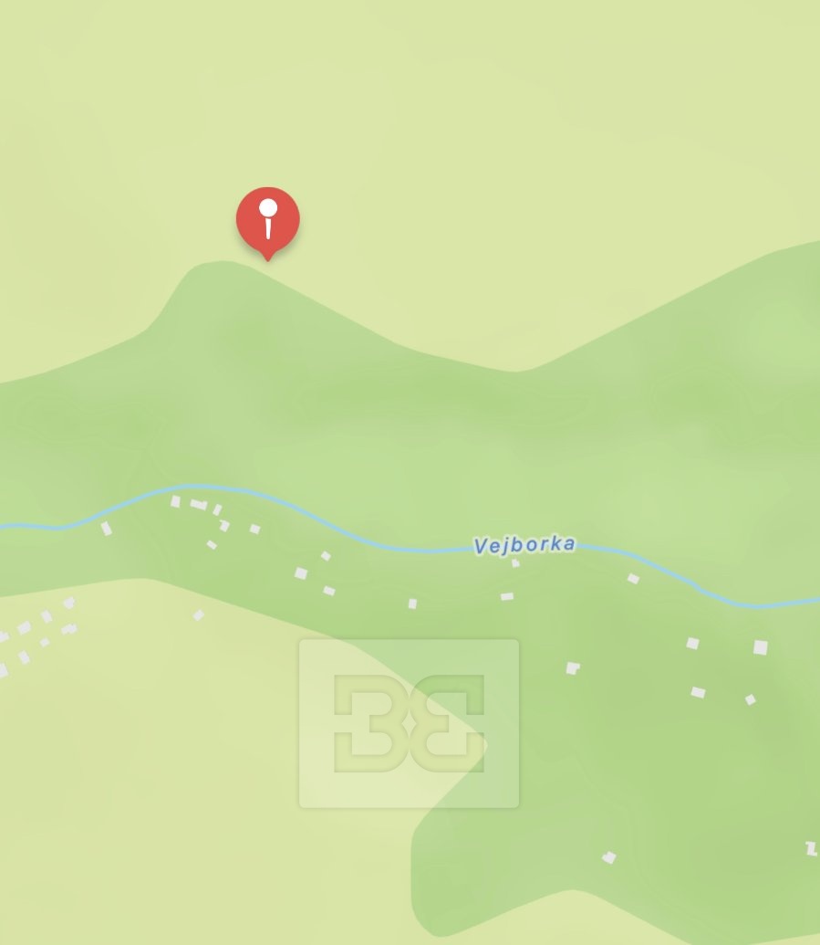 Prodej lesy, 4 369 m² - Chocerady, ev.č. N08074 - 5