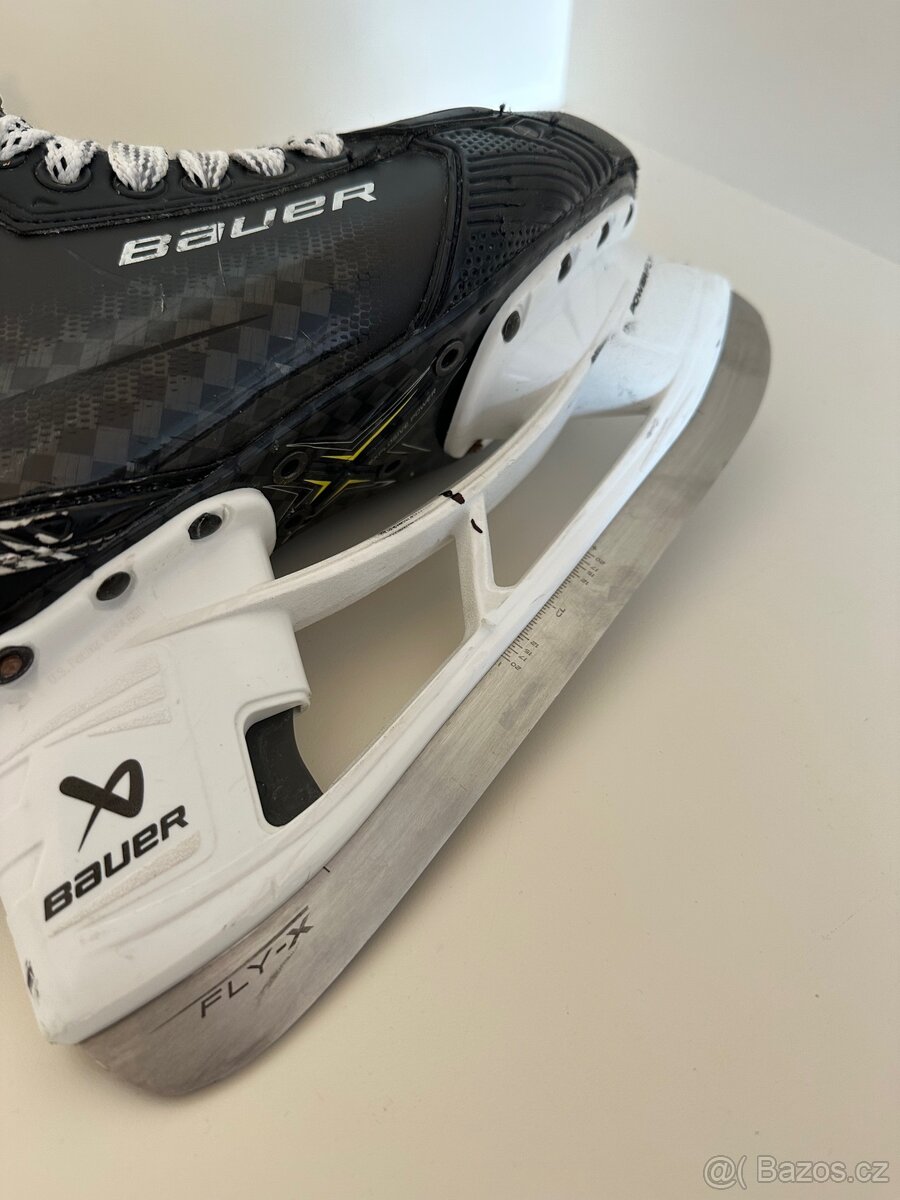 Bauer shadow - 5