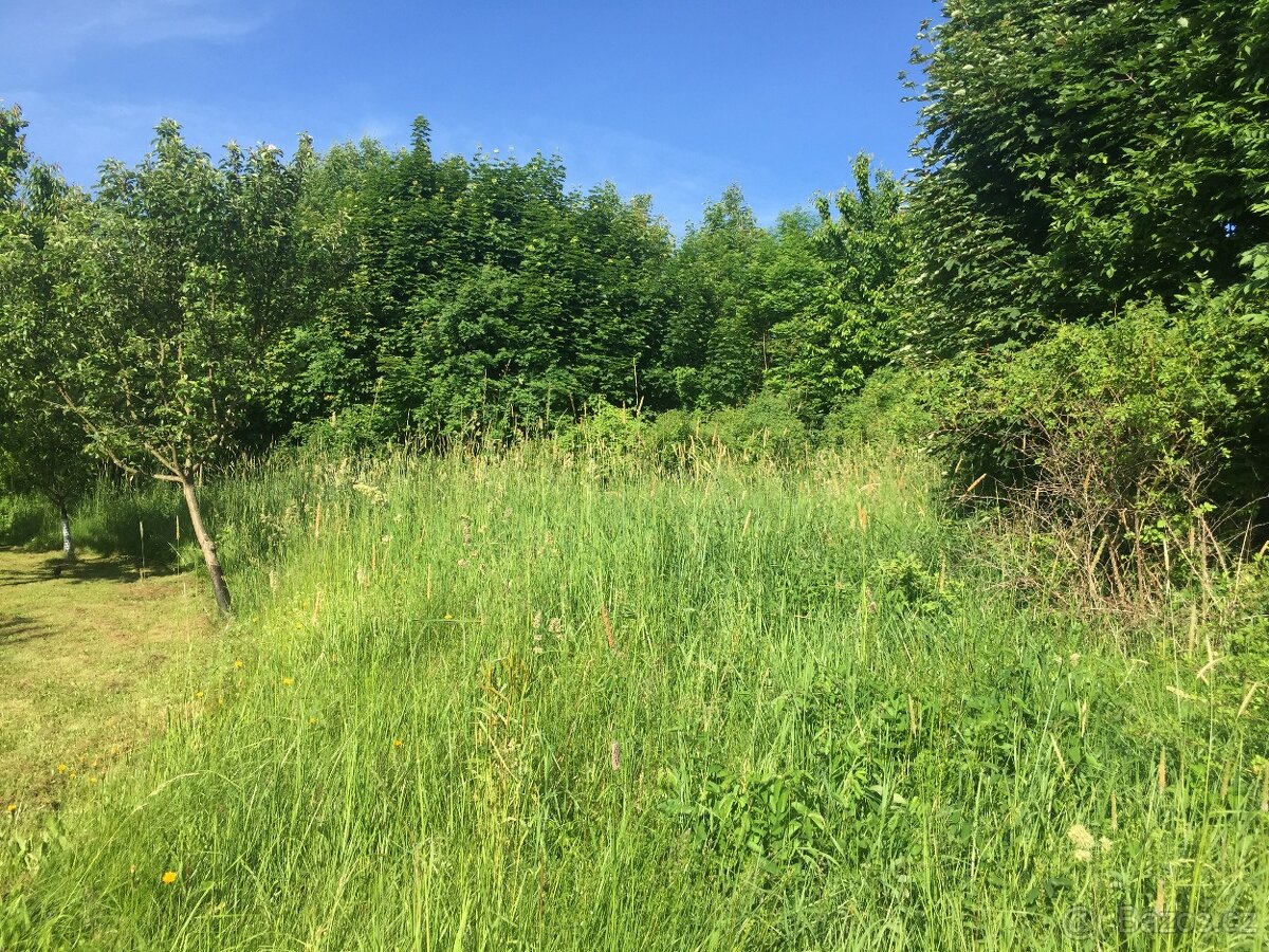 K prodeji pozemek 505 m2 v obci Bukovina u Čisté. - 5