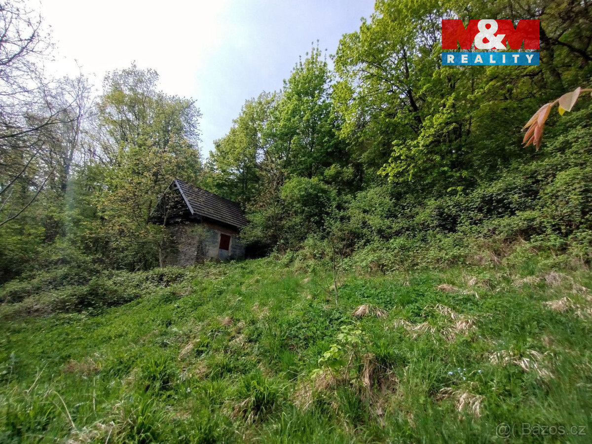 Prodej pozemek 2730 m2, Jeseník nad Odrou, Hůrka - 5
