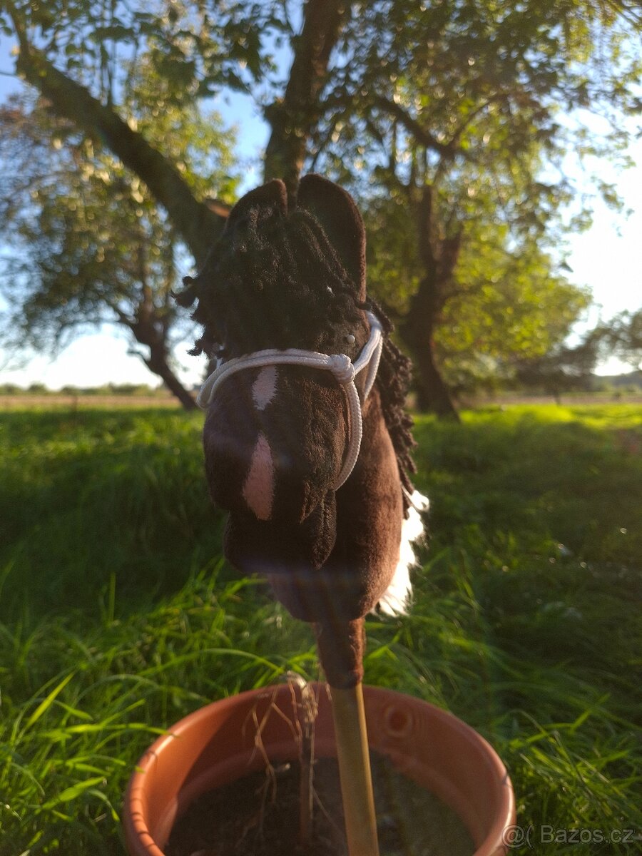 Hobby horse - 5