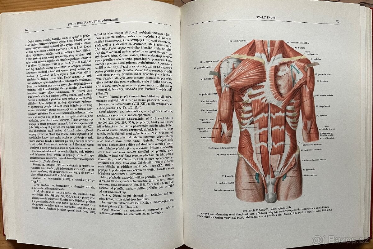 Atlas anatomie člověka I.-III. - 5