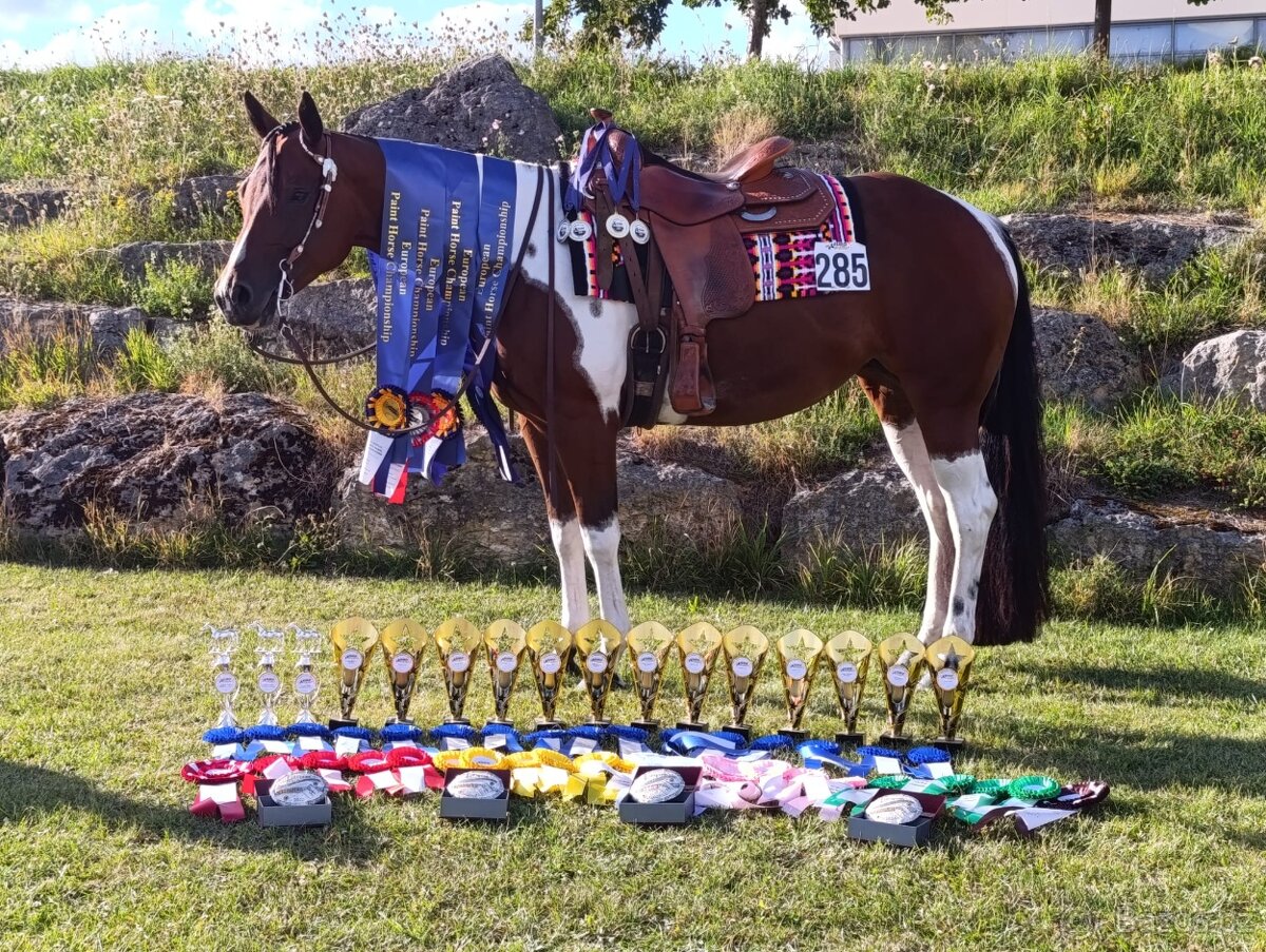 Letošní klisnička APH All around prospect - 5