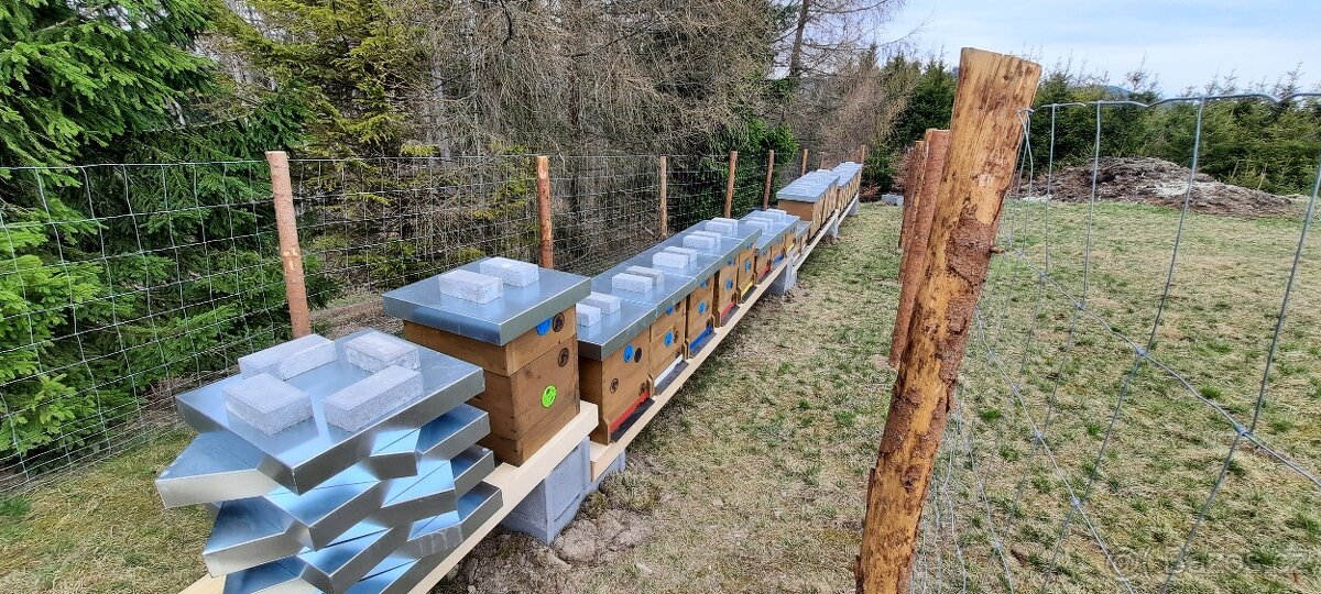 Prodam vyzimovane oddelky - 5