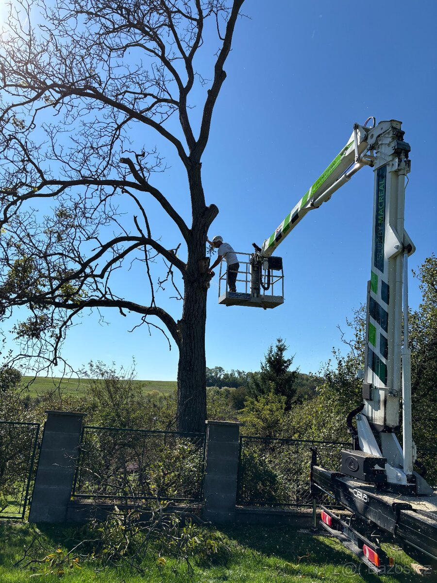 Pronájem plošiny - 5