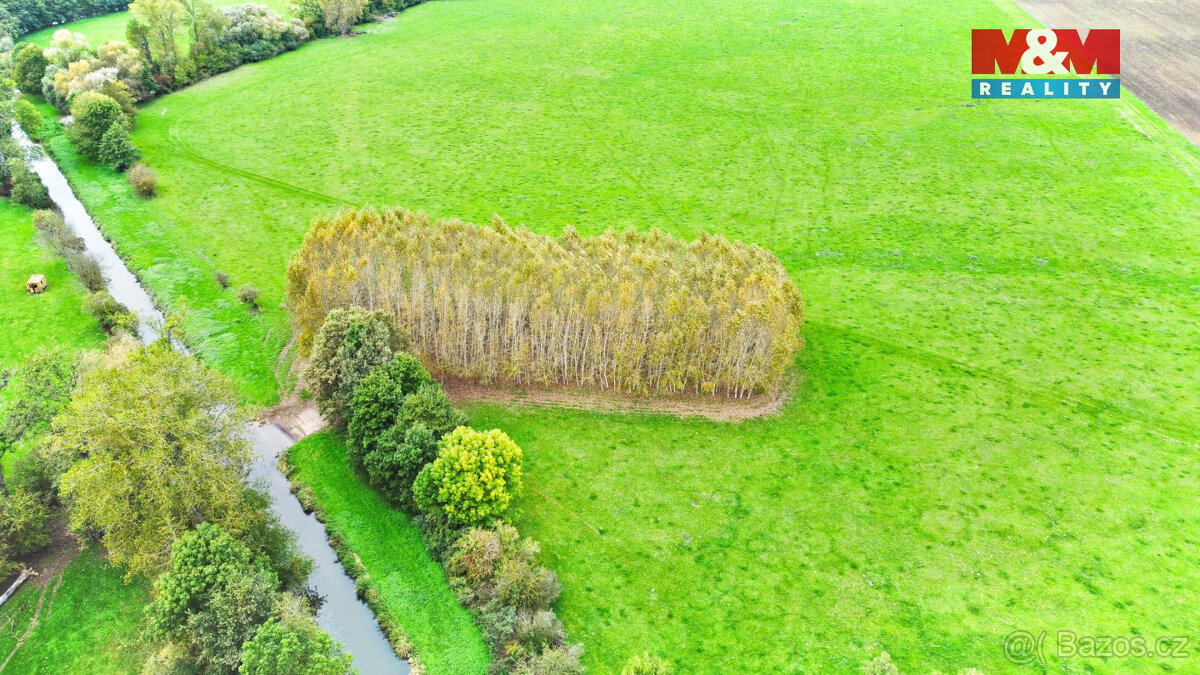 Prodej lesa, 1461 m², Skřivany - 5