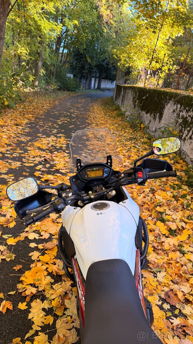 Prodám Hondu CB 500 X - 5