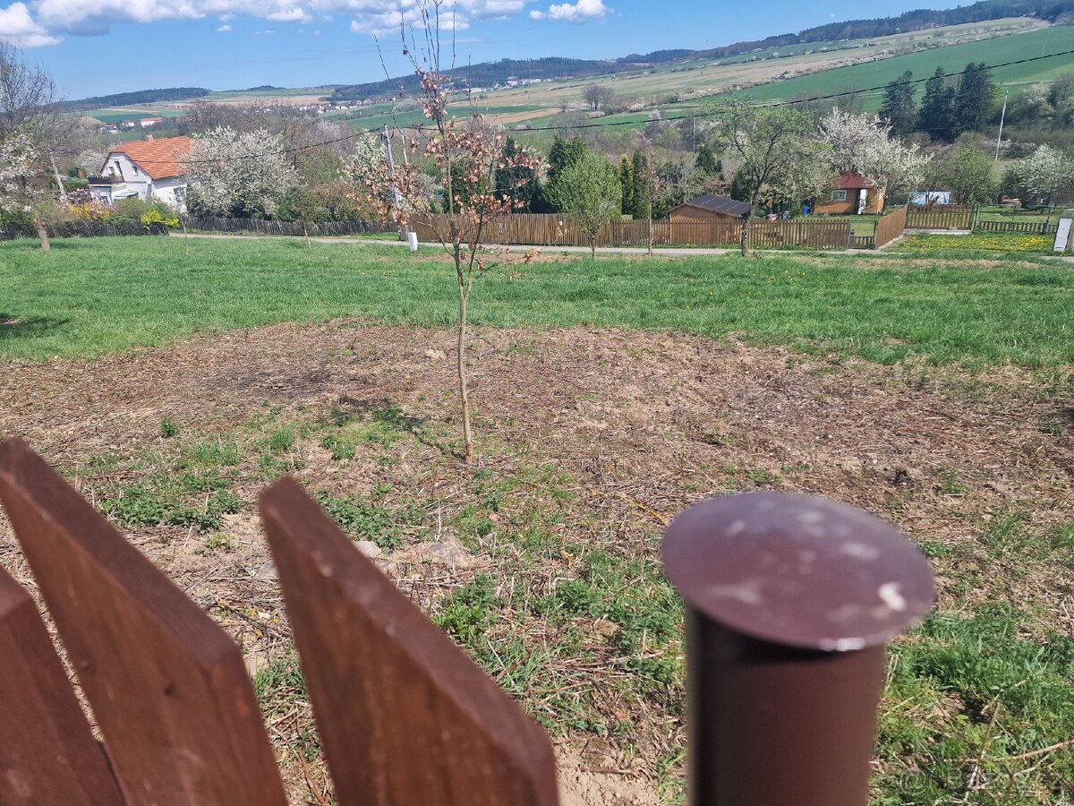 Pronajem zahrady - 5