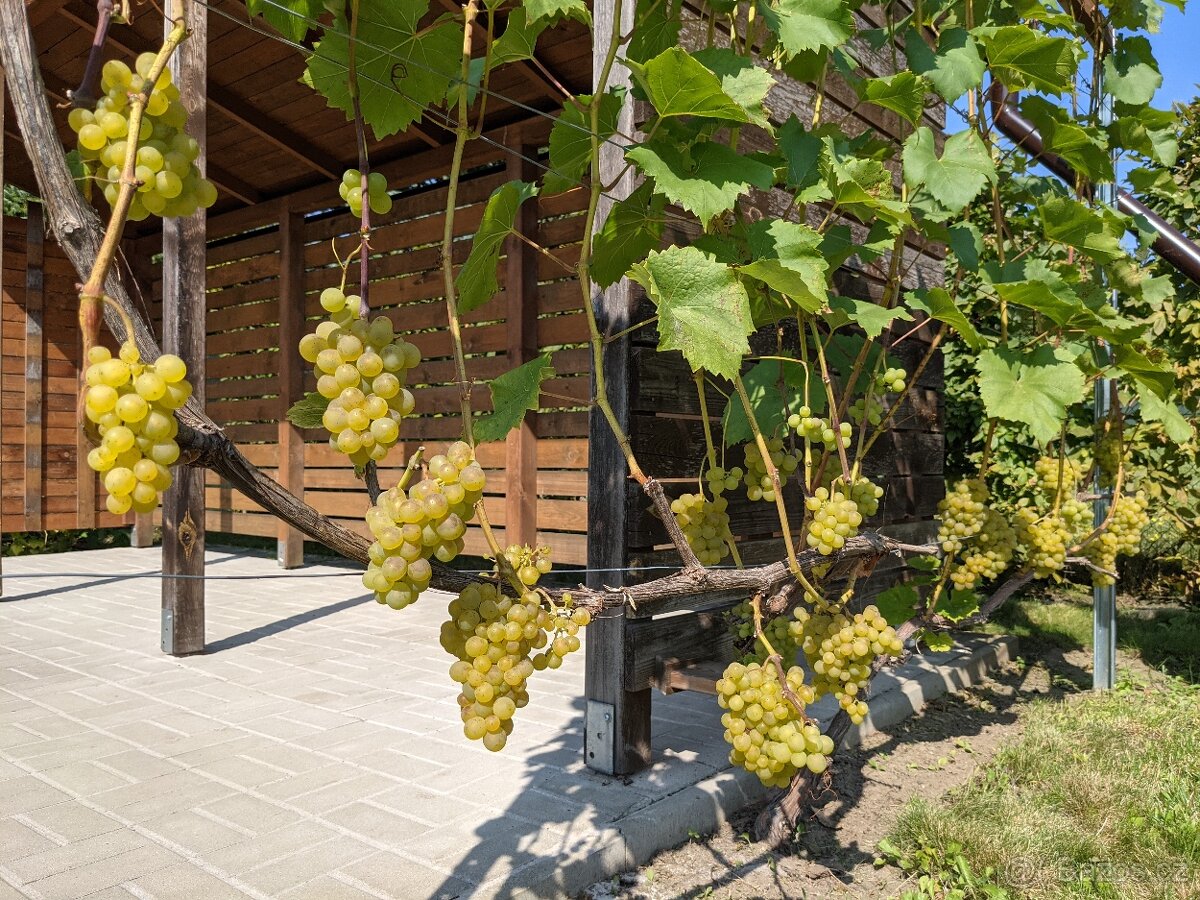 Pronájem zahrady - Bradlec, 977 m2 - 5