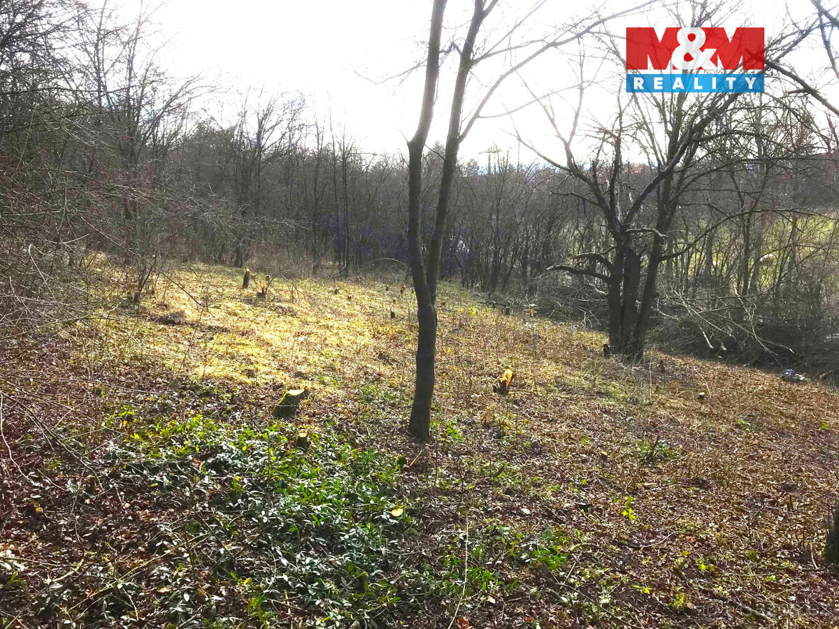 Prodej zahrady, 1582 m², Postoloprty - 5