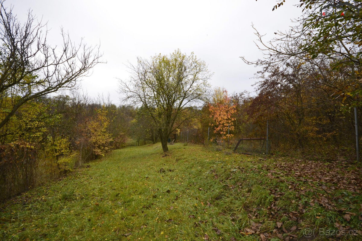Prodej zahrady, CP 705m2, Hostěrádky-Rešov, okres Vyškov - 5