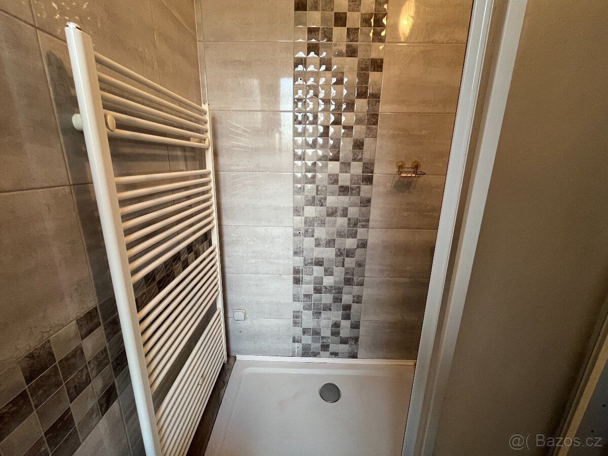 Prodej bytu 1+1, 47m², ulice Sokolovská, Opava - 5