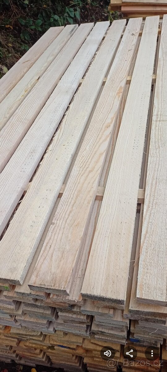 Borovice prkna - 5