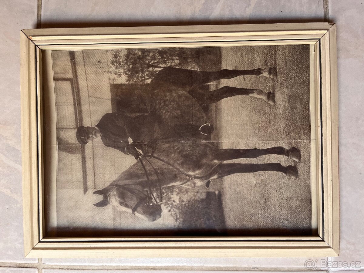 Tomáš Garrigue Masaryk - obrazy - 5