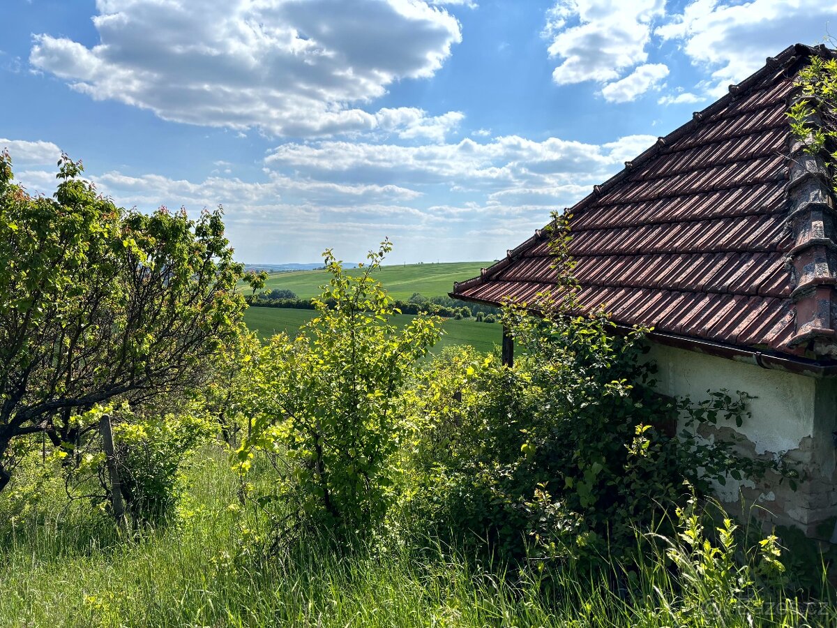 Prodej vinice Archlebov, okres Hodonín - 5