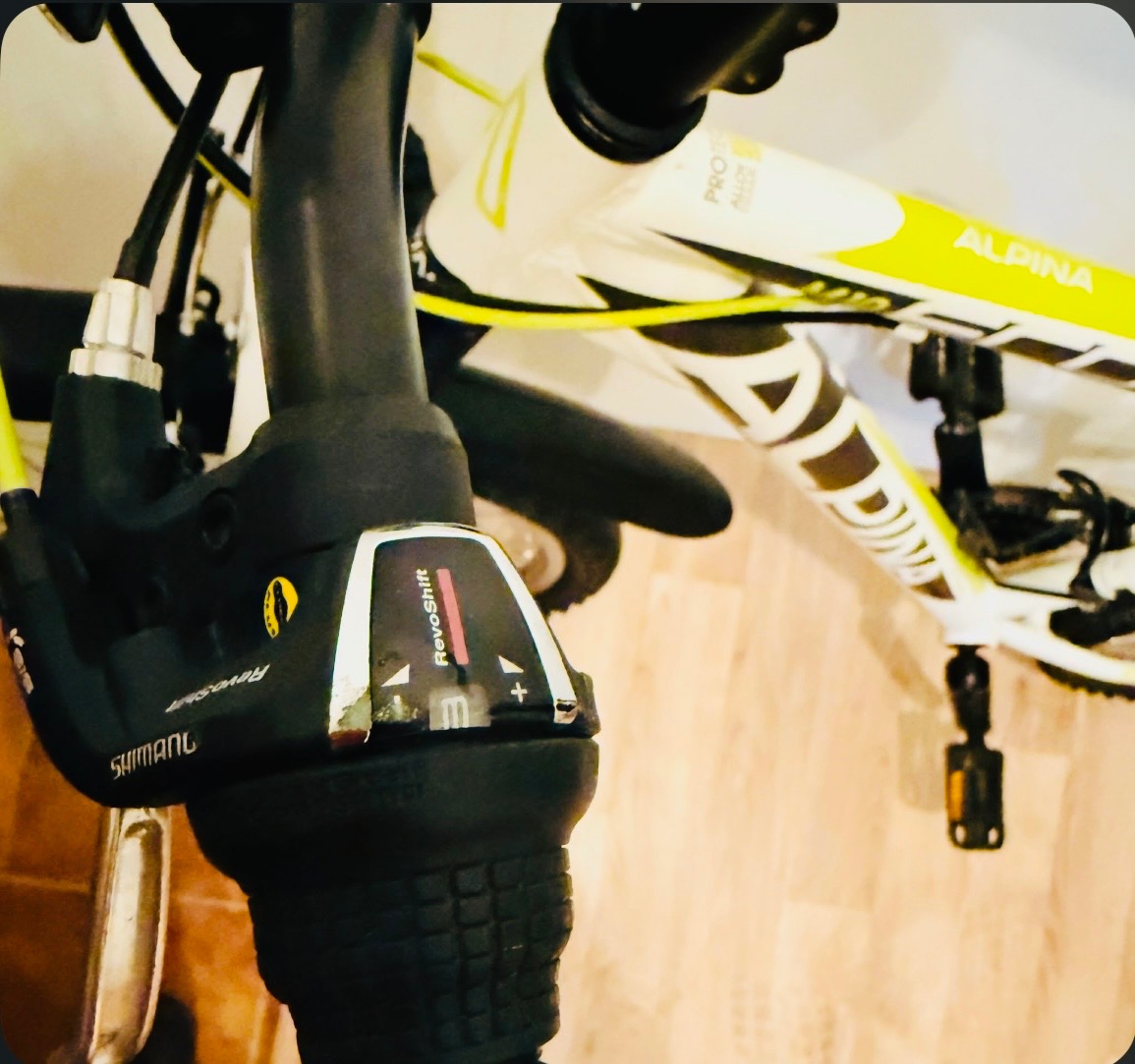 Dětské kolo Alpine 25 - 5