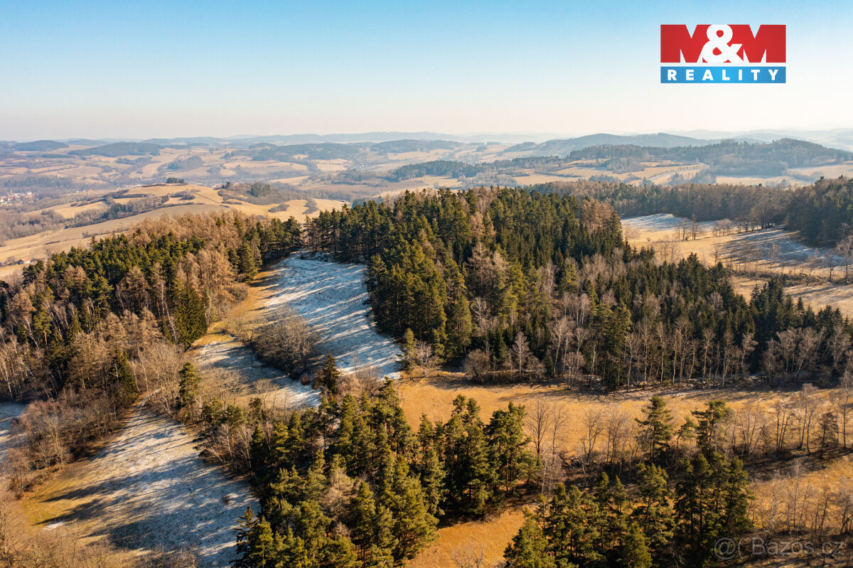 Prodej lesa, 42761 m², Nišovice - 5