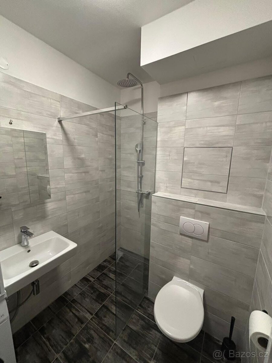 Pronájem bytu - 5