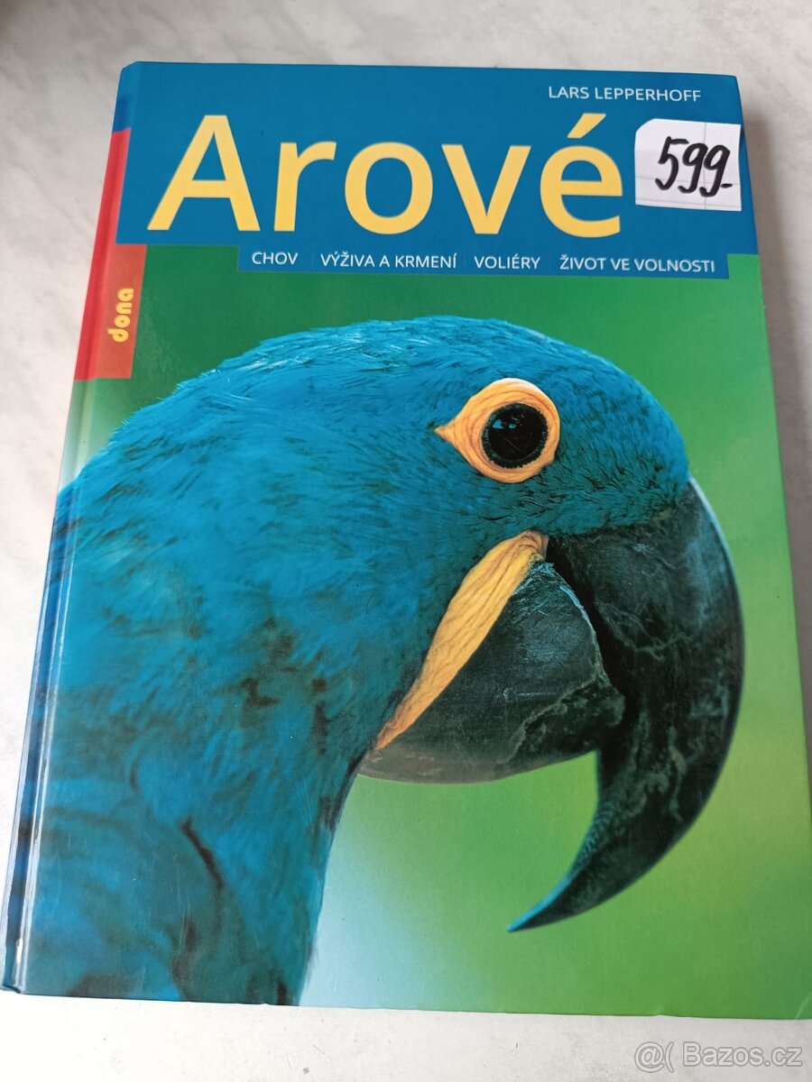 Papoušek dravci sovy ptaci - 5