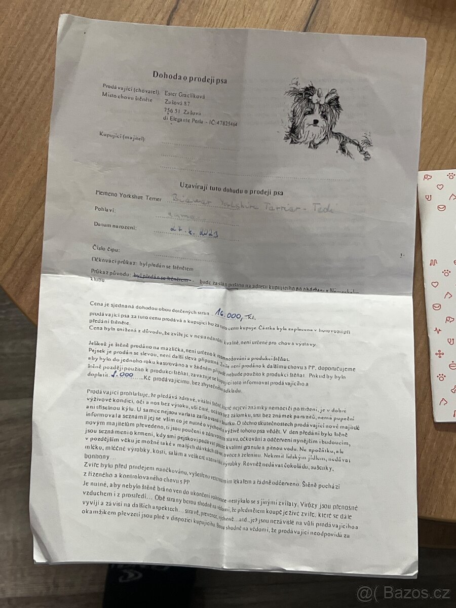 Jorkširský teriér yorkšírský teriér mini BIEWER ❤️❤️ - 5