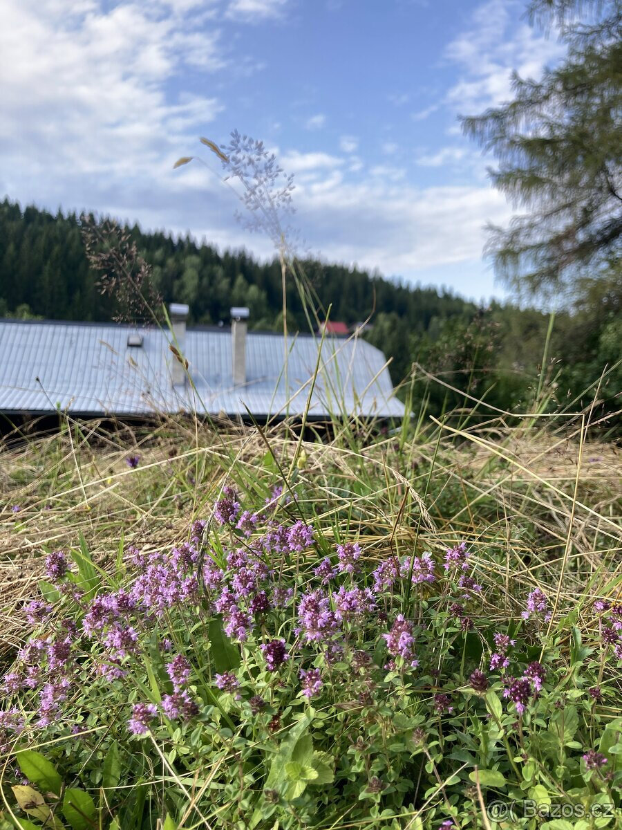 Predám prekrásnu beskydskú drevenicu_AKTUALIZÁCIA CENY - 5