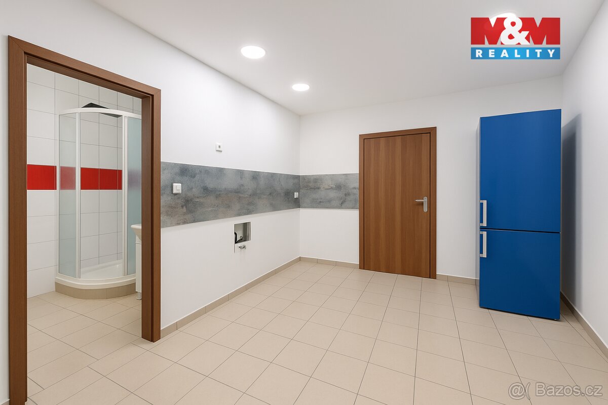 Prodej ostatní, 250 m², Svatava, ul. U Přádelny - 5