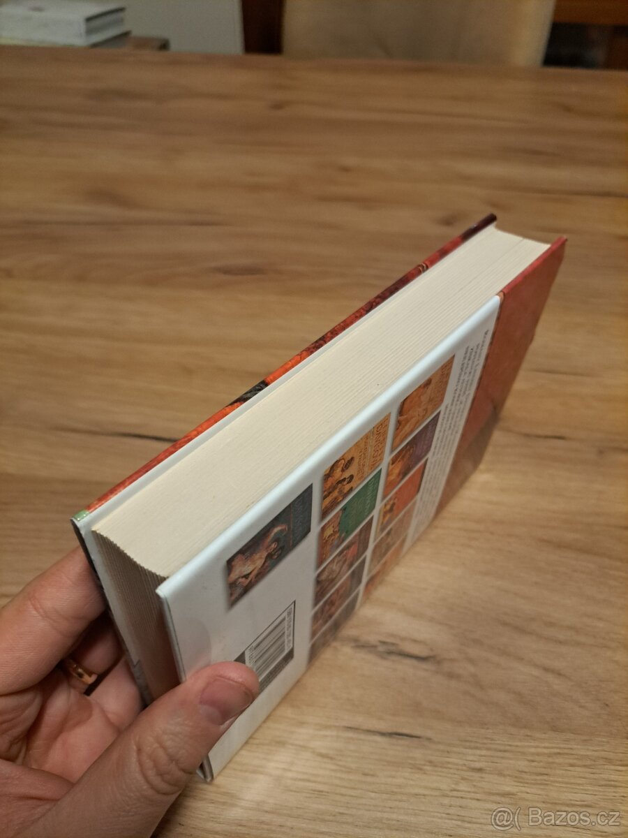 Óda na bankéře - Lindsey Davis - 5