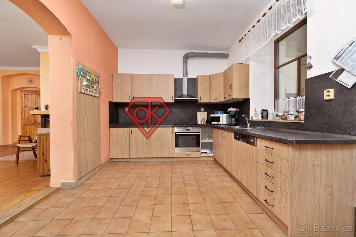 PRODEJ - penzion Hanka v Orličkách - 5