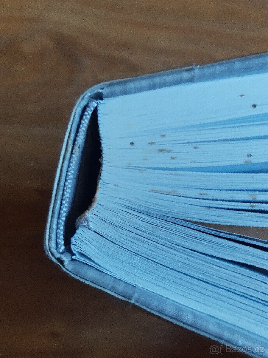 Názory tak řečeného Dalimila - 5