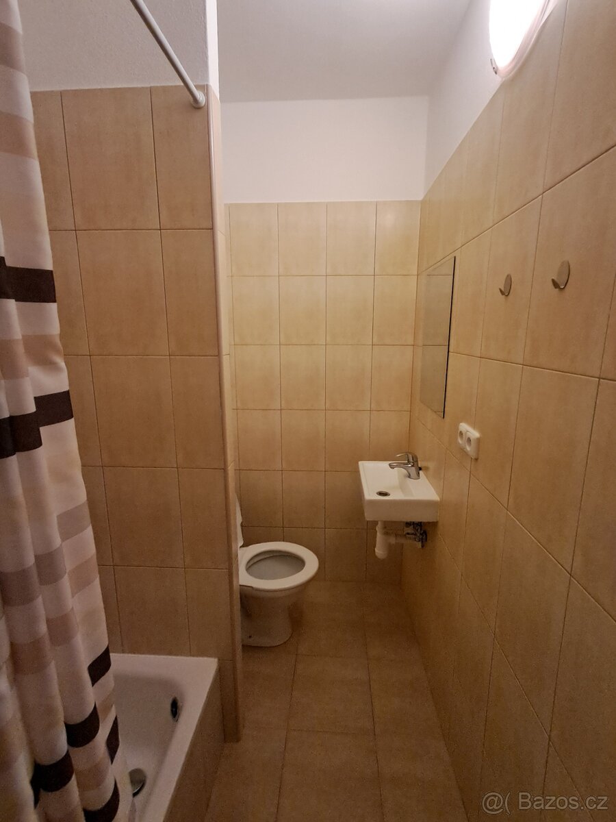 Pronájem 1+kk, Markova ul., Kdyně - 5