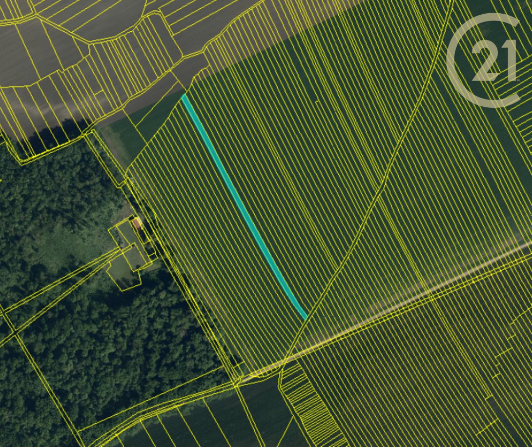 Prodej souboru zemědělských pozemků v k. ú. Strážnice na ... - 5