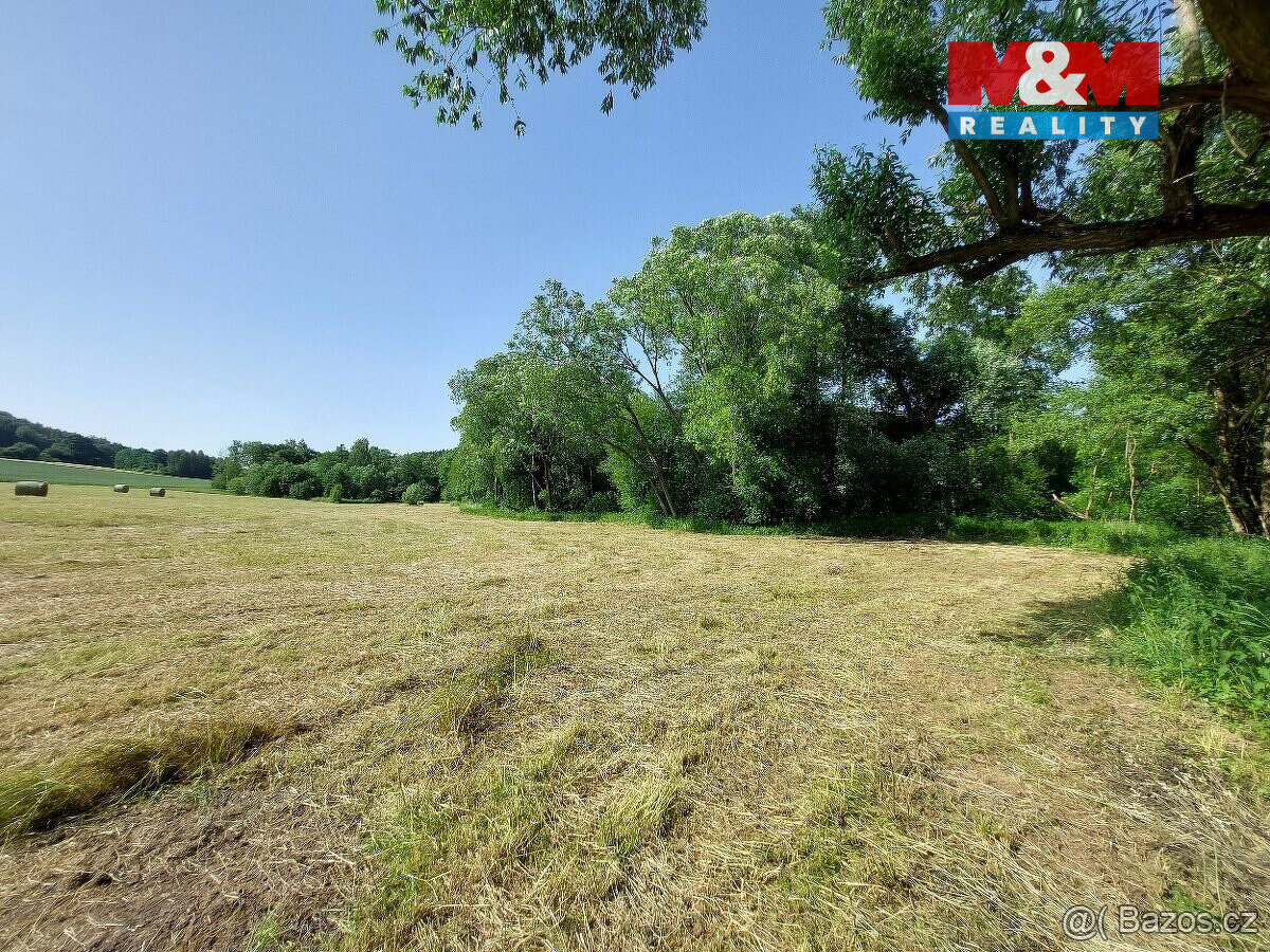 Prodej louky, 237 m², Pravonín - 5
