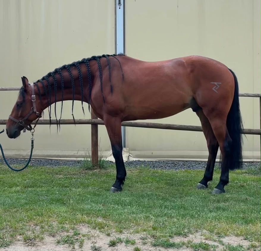 Qh na prodej - 5