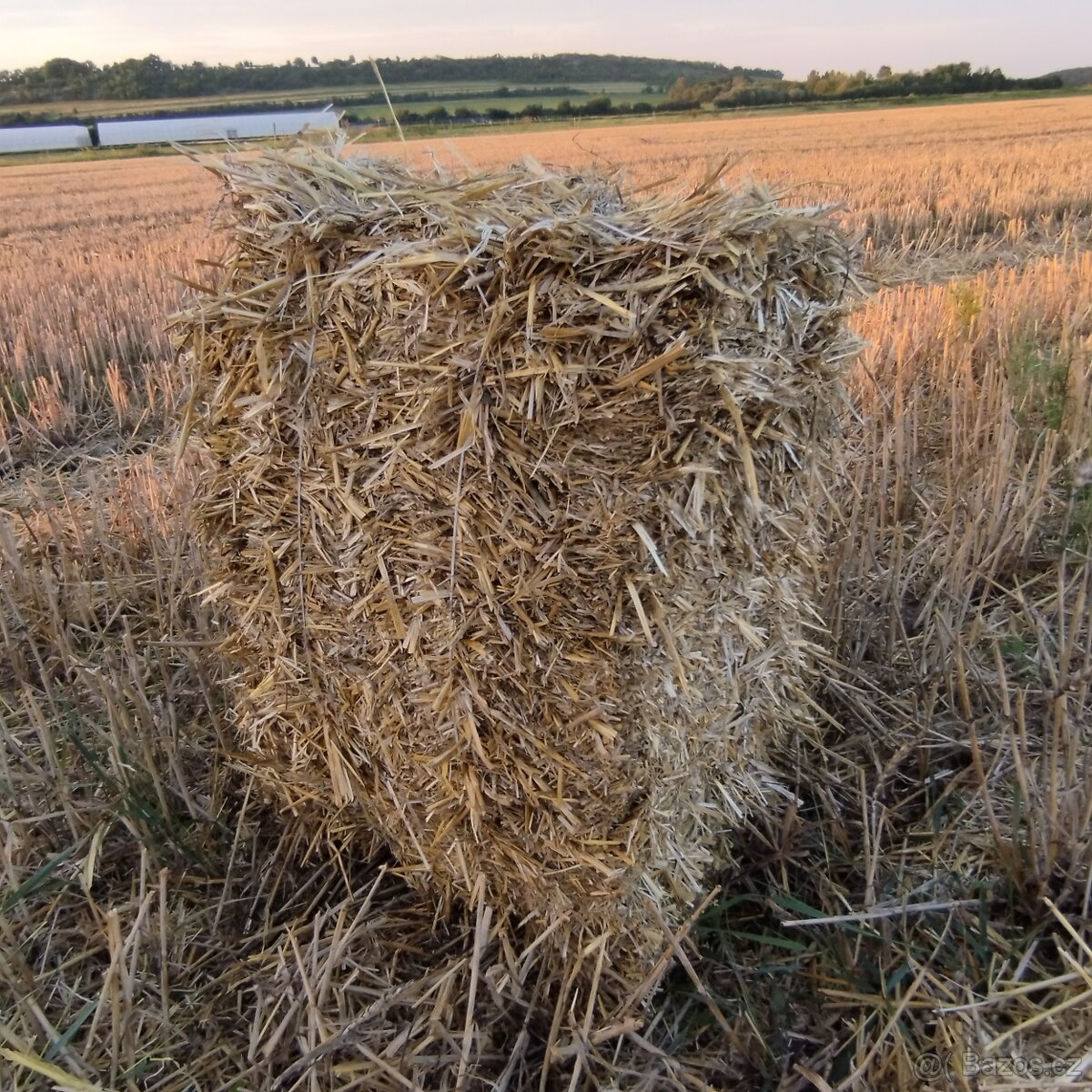 Malé hranaté balíky pšeničné slámy sklizeň 2025 - 5