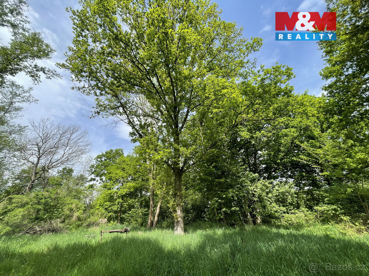 Prodej zahrady, 1999 m², Jeníkov - 5