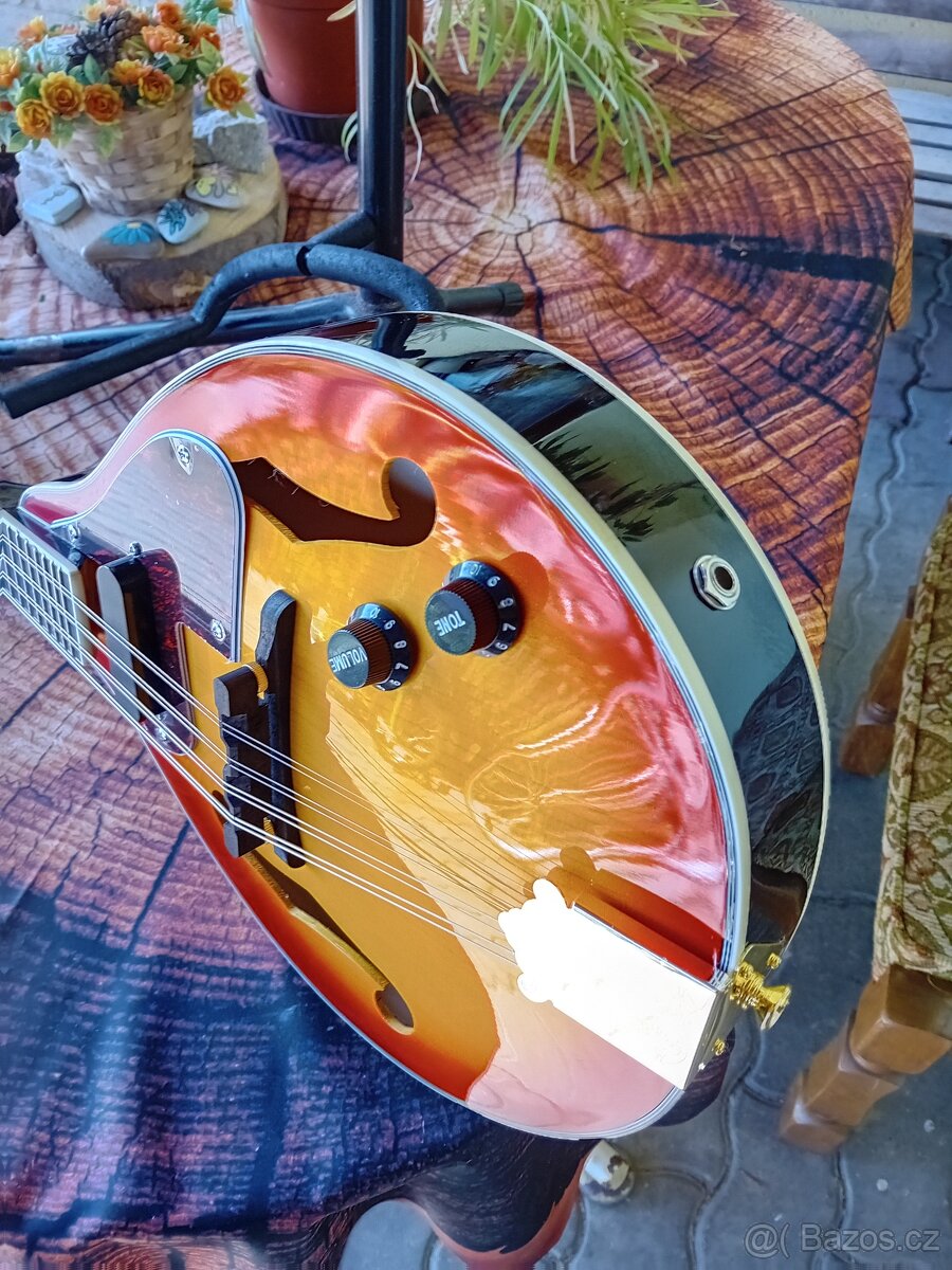 Elektroakustická mandolína - 5