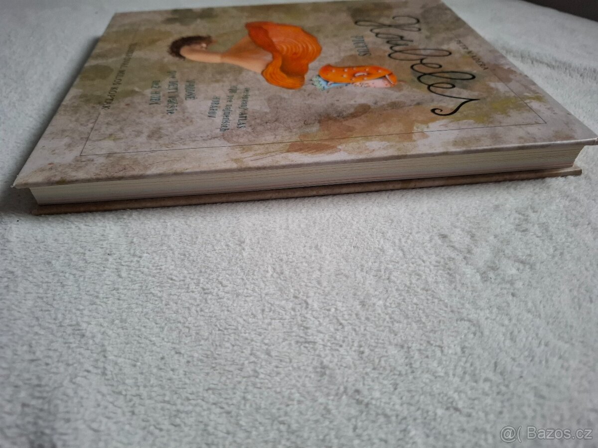 Houbeles pictus - Petr Maděra - 5