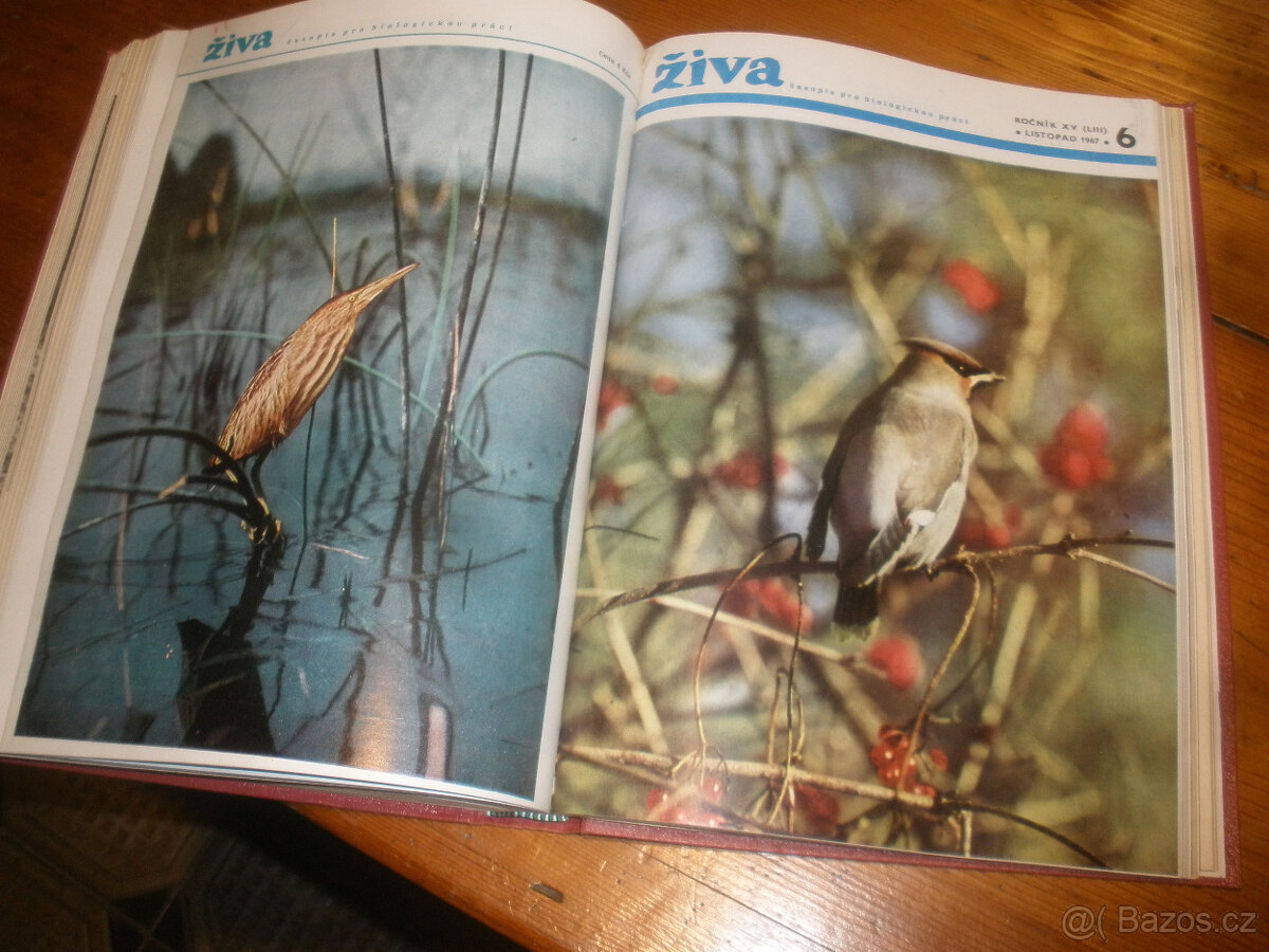 Myslivost ,svázaný ročník 1968 - 5