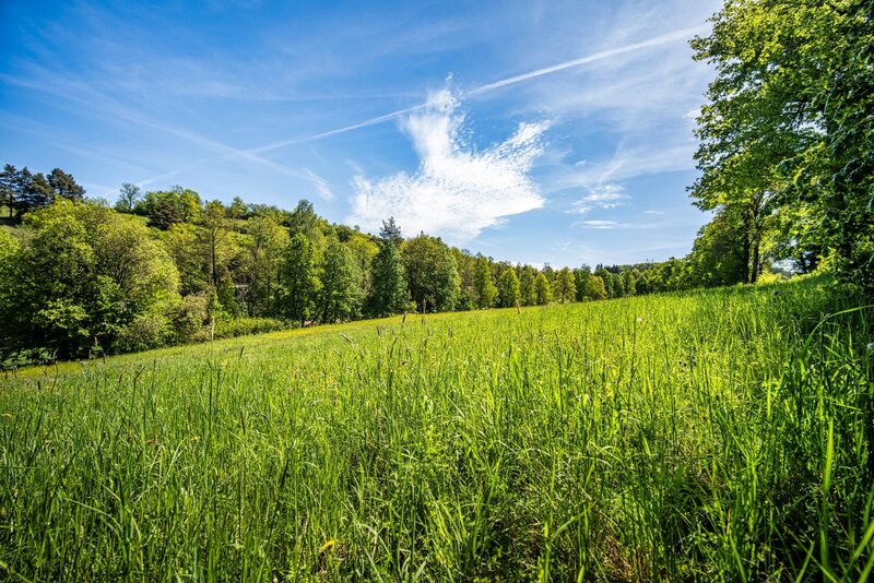 Stavební pozemek 1498 m² – Bohostice u Orlické přehrady - 5