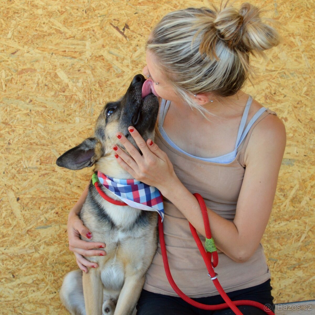 Norton hledá domov - 5