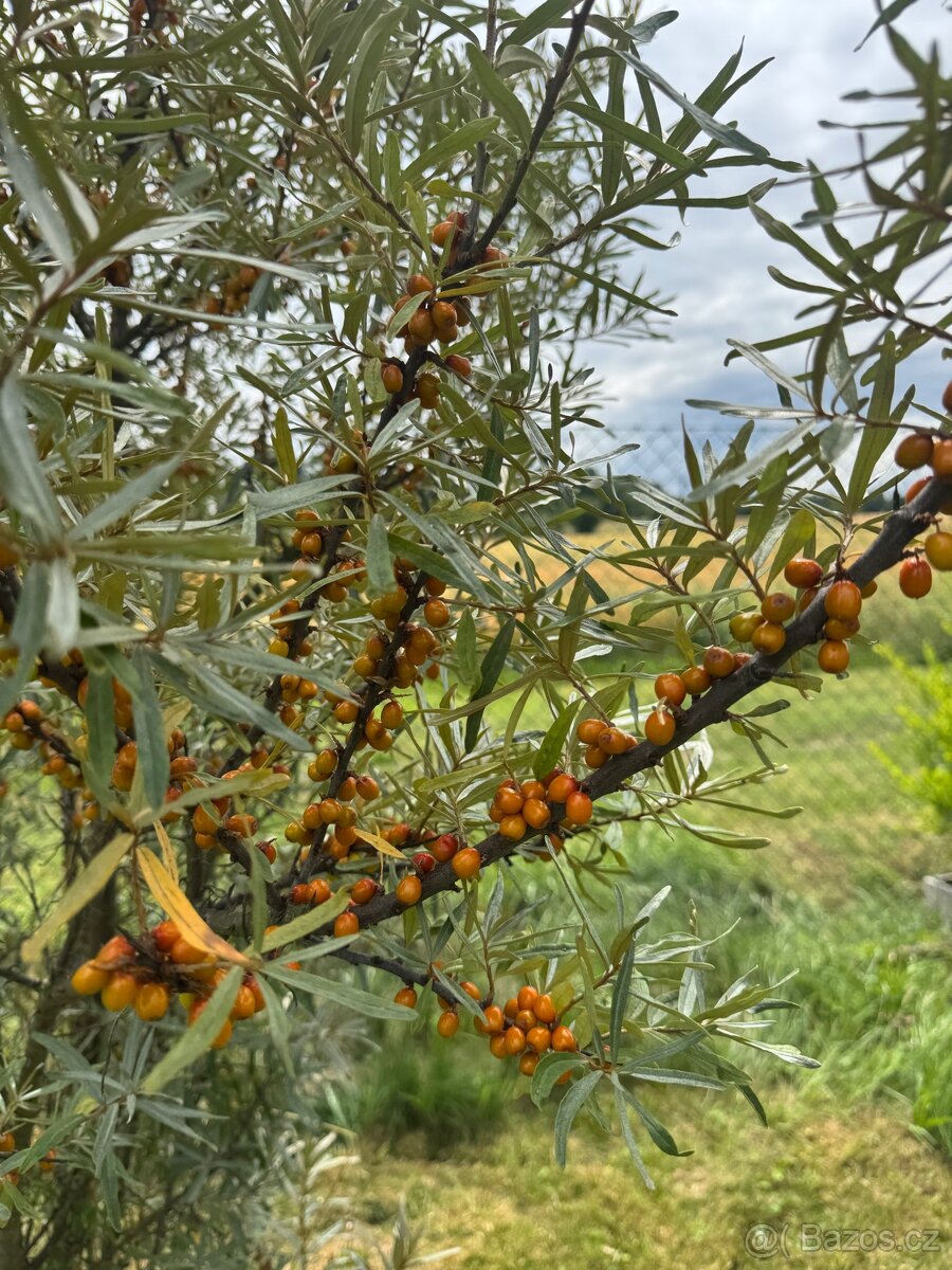 Prodám stavební pozemek - 5