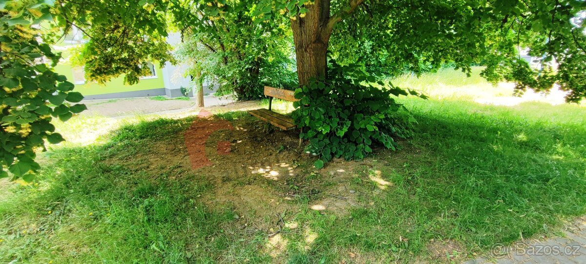 Prodej bytu 3+1 66m2 Plzeň Doubravka - 5