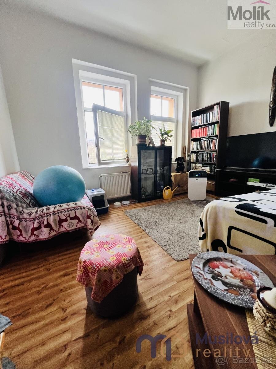 Prodej bytového domu 760 m2, pozemek 154 m2 - 5